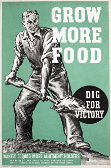 WW2 poster, Grow more food, dig for victory WW2 poster, Grow more food, dig for victory