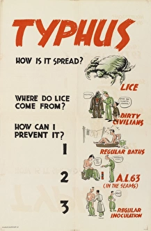 WW2 Poster -- Typhus, How Is It Spread? WW2 Poster -- Typhus, How Is It Spread?
