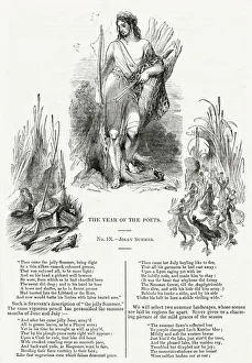The Year of the Poets -- Jolly Summer The Year of the Poets -- Jolly Summer