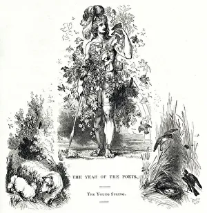 The Year of the Poets -- The Young Spring The Year of the Poets -- The Young Spring