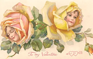 Yellow & pink rose flower faces Yellow & pink rose flower faces