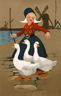 A Young Dutch girl in traditional costume, tending to geese A Young Dutch girl in traditional costume, tending to geese