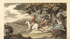 Young English gentleman riding with hounds in a stag hunt Young English gentleman riding with hounds in a stag hunt