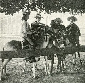 Four young men on mules, Chile, South America Four young men on mules, Chile, South America