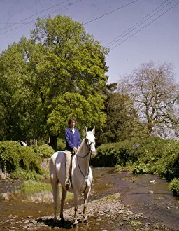 Young woman riding a white horse Young woman riding a white horse