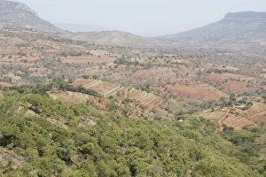 Agricultural terracing on slopes to reduce erosion Agricultural terracing on slopes to reduce erosion