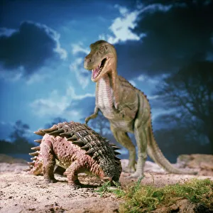 Ankylosaurus - with Tyrannosaurus in the background Ankylosaurus - with Tyrannosaurus in the background
