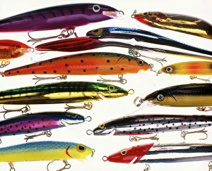 https://www.mediastorehouse.com.au/t/172/artificial-fishing-lures-minnows-3740170.jpg.webp