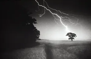 Arty Prints: Lightning Striking a Tree Print