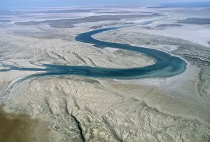Australia Warburton River entering Lake Eyre Print