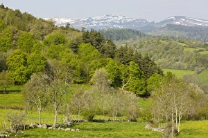 The Auvergne in spring, looking towards the Monts du Cantal The Auvergne in spring, looking towards the Monts du Cantal