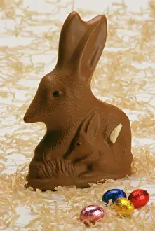 Australasian Wildlife Art Prints: Chocolate Bilby - Australia's version of the Easter bunny JLR07151