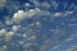 Cirrocumulus Cloud Formation Prints: Clouds - cirrocumulus