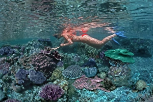 Coral pool - Girl snorkeling in a coral pool in reef around Heron Island Coral pool - Girl snorkeling in a coral pool in reef around Heron Island
