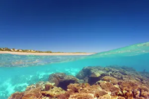 Coral reef and beach - over and under water shot of a coral reef and white, sandy beach Coral reef and beach - over and under water shot of a coral reef and white, sandy beach