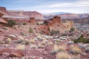Early morning in the Capitol Reef National Park, looking towards the huge 65-million year Early morning in the Capitol Reef National Park, looking towards the huge 65-million year