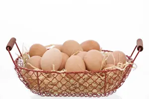 Chicken Eggs Prints: Eggs - basket of eggs in studio