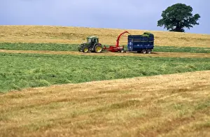 Farming Techniques Prints: Farming - cutting for sileage