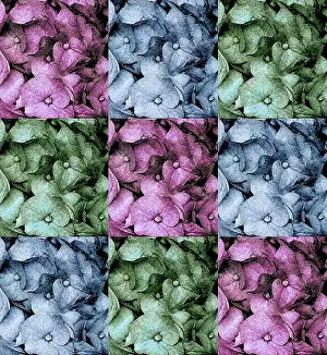 Abstract Flower Art Prints: Flowers - abstract
