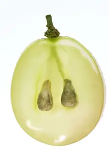 Studio Fruit Photography Prints: Fruit - single grape in studio - showing seeds