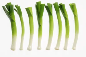 Fruit And Veg Prints: Scallion Leeks Print