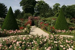 Images Dated 9th June 2003: Gardens - Bagatelles Park Allee de Longchamp, between Sevres and Neuilly - Paris