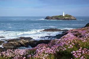 Godrevy Island and Lighthouse - from Gwithian - thrift Godrevy Island and Lighthouse - from Gwithian - thrift