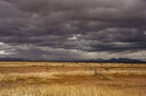 Grasslands and mountains near Douglas on the Arizona - Mexico border on a stormy winter Grasslands and mountains near Douglas on the Arizona - Mexico border on a stormy winter