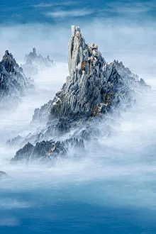 New images march 2022/gueirua gairua beach goats traped rock high New images march 2022/gueirua gairua beach goats traped rock high