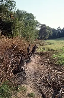 Agricultural Landscape Damage Prints: Hedgerow destruction