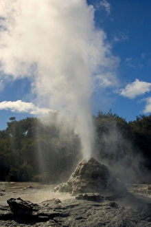 Lady Knox Geyser - erupting Geyser spewing water and steam in the blue sky Lady Knox Geyser - erupting Geyser spewing water and steam in the blue sky