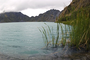 A lake, formed in a crater of volcano Pinatubo (the water level gradually rises over A lake, formed in a crater of volcano Pinatubo (the water level gradually rises over