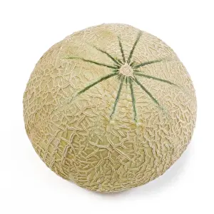 White Background Fruit Images Prints: Melon - in studio