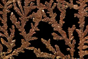 South American Geology Prints: Native Copper - Bolivia