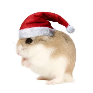 Prints of Roborovski Hamster wearing Christmas hat. Digital manipulation Date Calomyscidae Prints: Roborovski Hamster Print with Christmas Hat