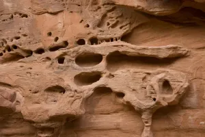Geological Formations USA Prints: Distinctive erosion patterns in sandstone cliff. Arches National Park, Utah