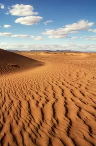 Moroccan Landscape Photography Prints: MOROCCO - DUNES