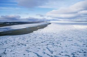 Russia - North East Siberia, Wrangle Island, with pack ice Russia - North East Siberia, Wrangle Island, with pack ice