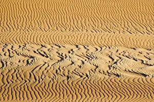 Sossusvlei Sand Patterns Print