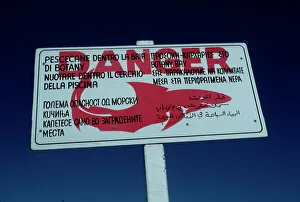 Shark warning sign - these signs are off most swimming beaches. This one is aimed at tourists who do not speak English Shark warning sign - these signs are off most swimming beaches. This one is aimed at tourists who do not speak English