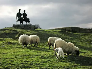 Sheep Prints: Sheep grazing before the Henry Moore sculpture Print