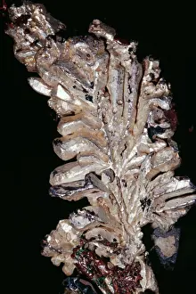 Prints of KEL-1473 SILVER - native element. Ag Quincy Mine, Hancock, Michigan, USA Ken Lucas Images Dated 2nd June 2004: Silver Print, Native Element Ag Quincy Mine, Hancock, Michigan
