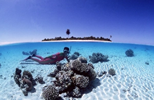 Snorkeller and tropical island - Split level shot Snorkeller and tropical island - Split level shot