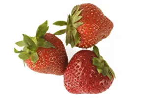 Personal Use Prints Only Prints: Strawberries - three in studio shot