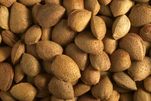 Edible Nuts Prints: Almonds