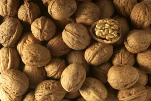 Jean Michel Labat Prints: Walnuts