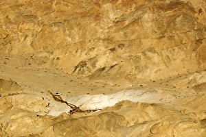 Uranium Prospecting taking place in the Moon Valley Uranium Prospecting taking place in the Moon Valley