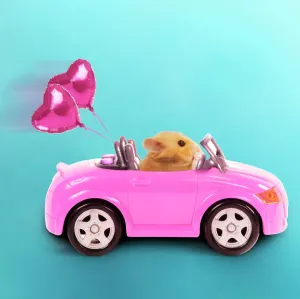 Prints of LA-3728-M Hamster driving miniature sports convertible car with heart shaped balloons attached Digitally manipulated image Jean-Michel Labat Please note that prints are for personal display purposes Calomyscidae Prints: Hamster driving a pink sports convertible with heart-shaped balloons Print