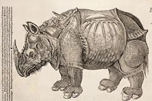 1551 Gesner armoured rhino after Durer 1551 Gesner armoured rhino after Durer