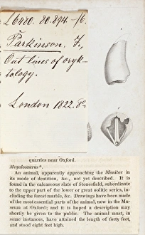 Images Dated 21st February 2011: Print of 1822 description and illustration of Megalosaurus